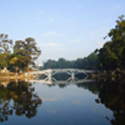 Assam Meghalaya Tour – 14 Days Kaziranga, Shillong & Cherrapunjee Assam Meghalaya Tour – 14 Days Kaziranga, Shillong & Cherrapunjee
